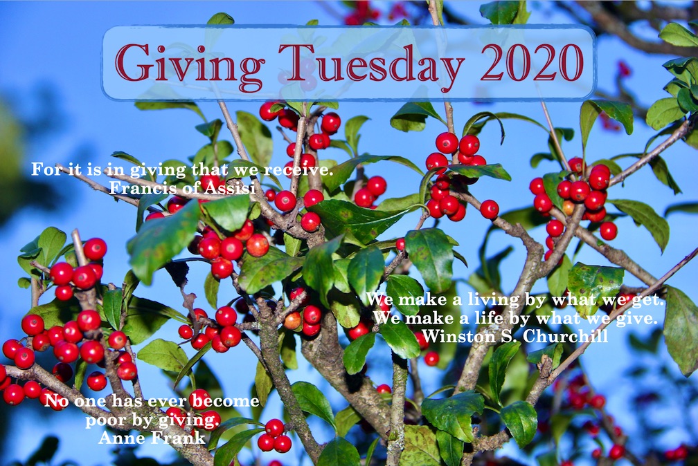 Giving Tuesday:  A Gift for You