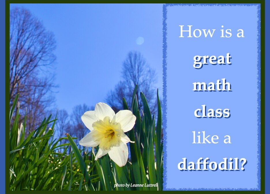 How is a great math class like a daffodil?