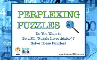 The Gift of a Puzzle for a Puzzle Investigator!