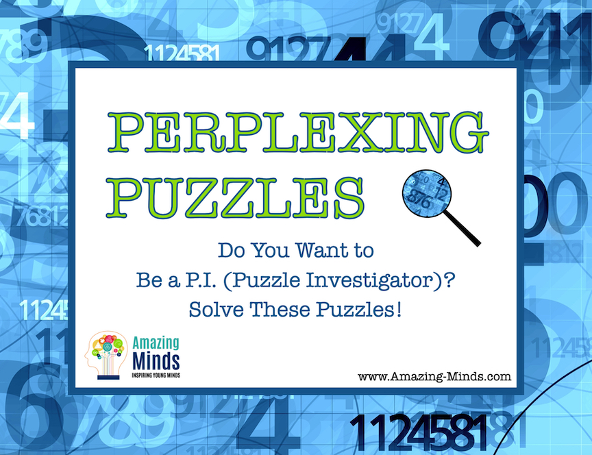 The Gift of a Puzzle for a Puzzle Investigator!